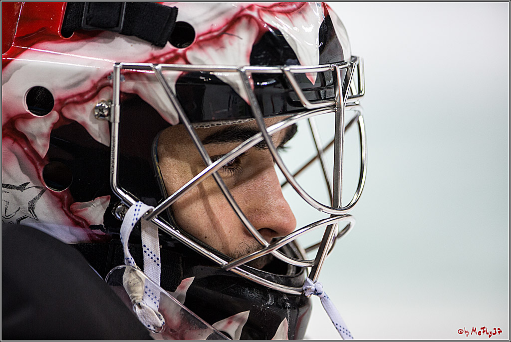 DEL, Koelner Haie - Duesseldorfer EGY, 22.01.2017